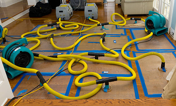 Professional Sewage Cleanup technician working in Bedford, MA